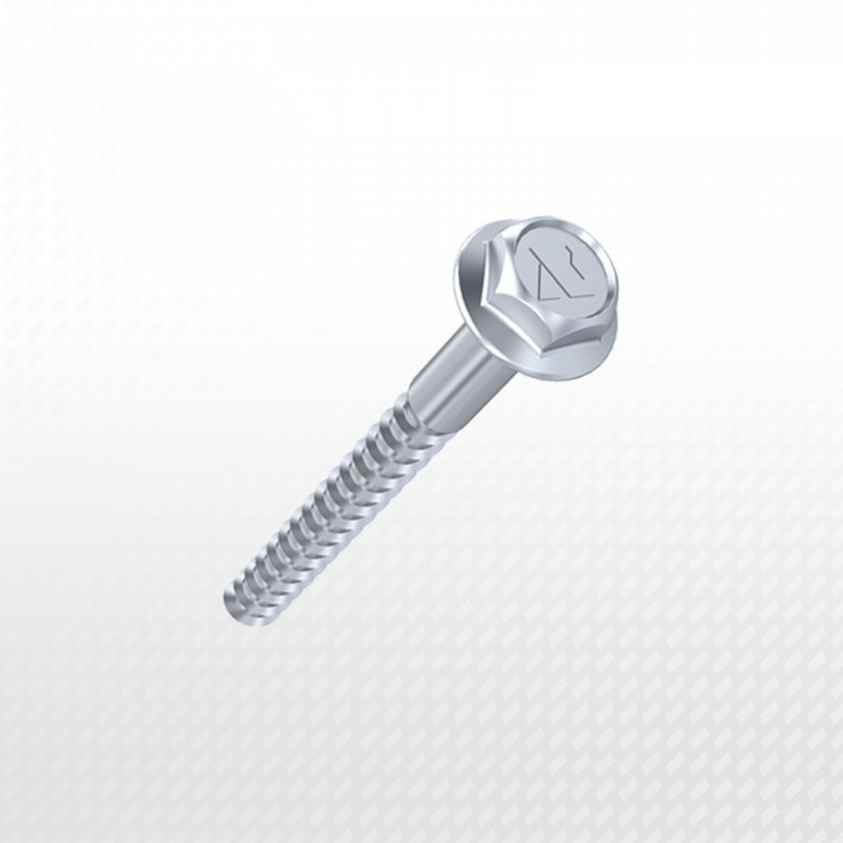 Mounting Kit – Screw + Wall Plug
